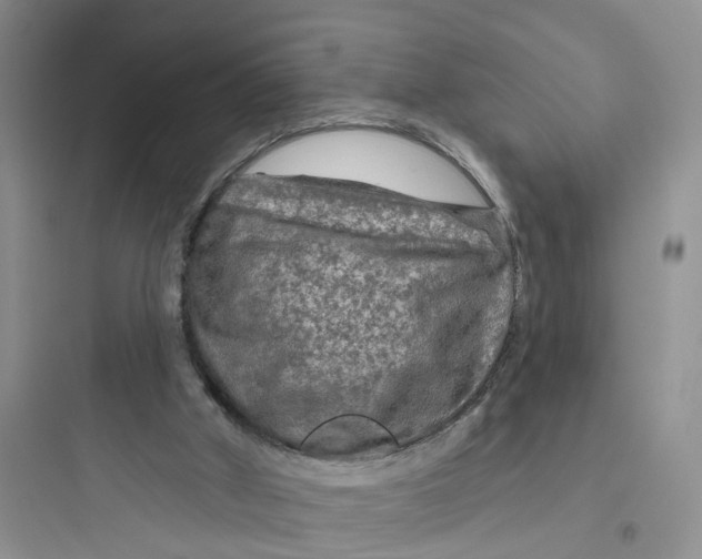 X0000097650010200803211907