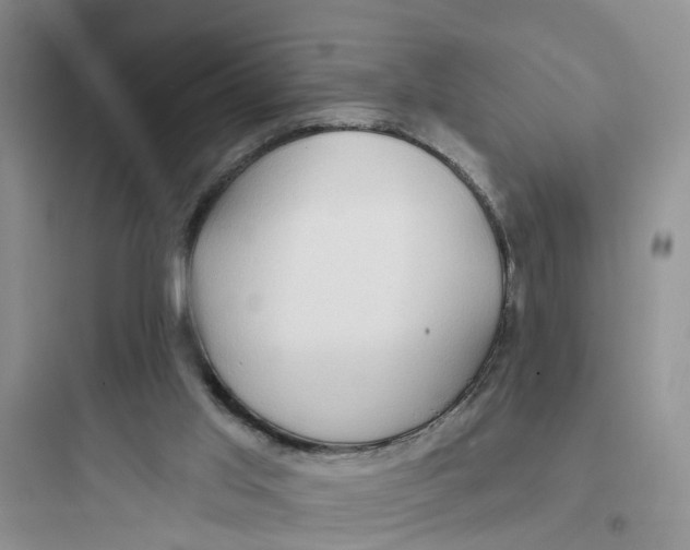 X0000097650013200803211907