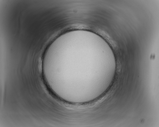 X0000097650014200803211907