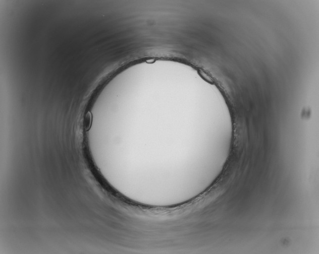 X0000097650015200803211907