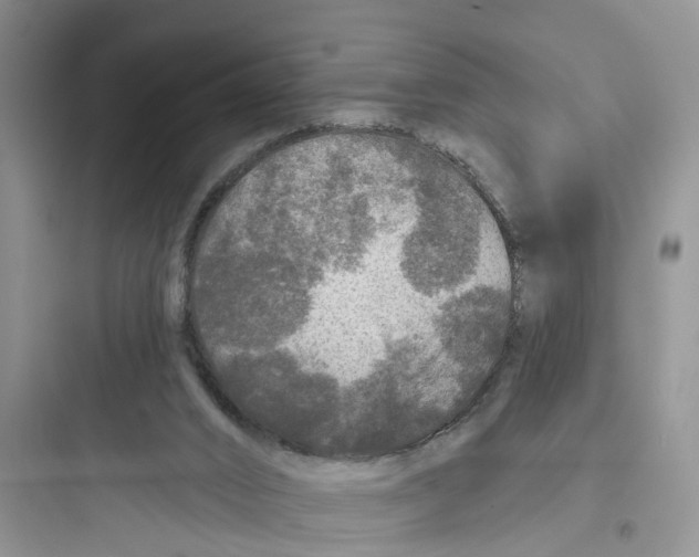 X0000097650016200803211907