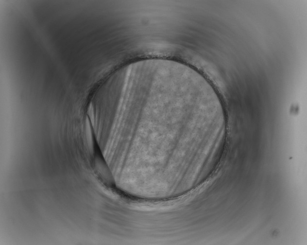 X0000097650017200803211906