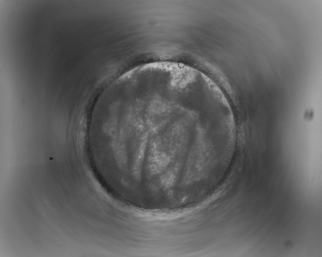 X0000097650018200803211906