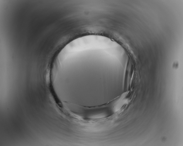 X0000097650019200803211906