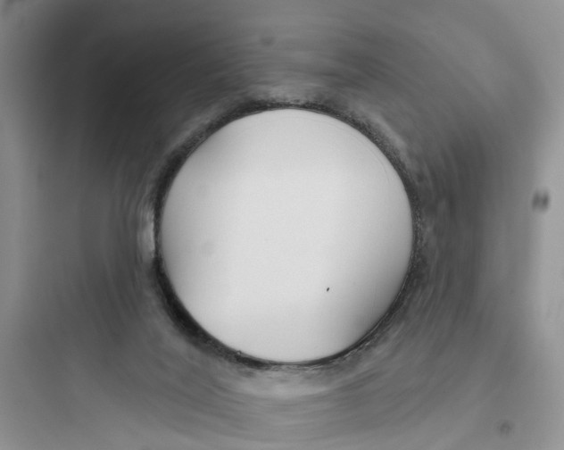 X0000097650020200803211906