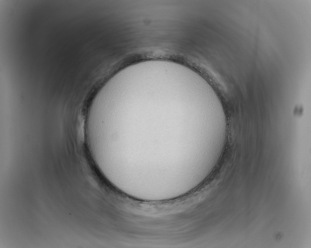 X0000097650022200803211906