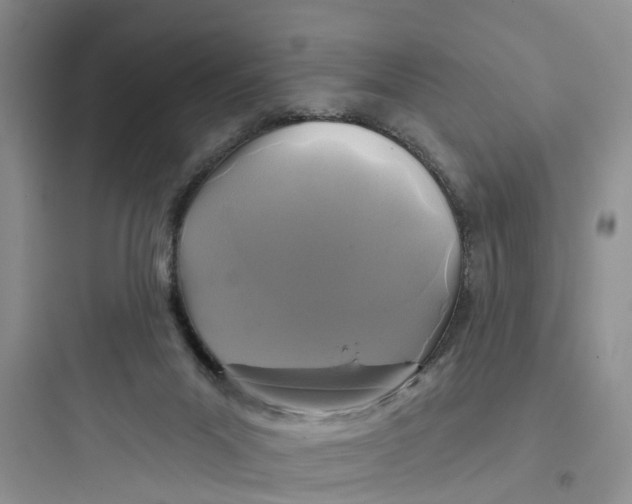 X0000097650023200803211906