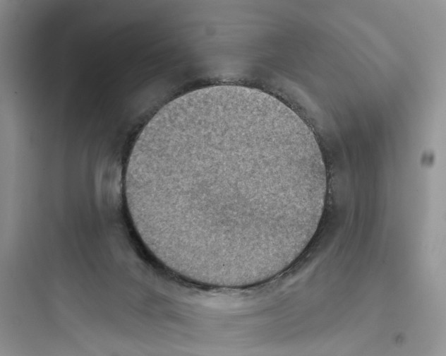 X0000097650024200803211906