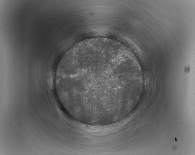 X0000097650026200803211906