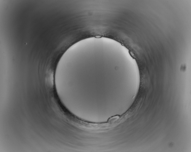 X0000097650027200803211906