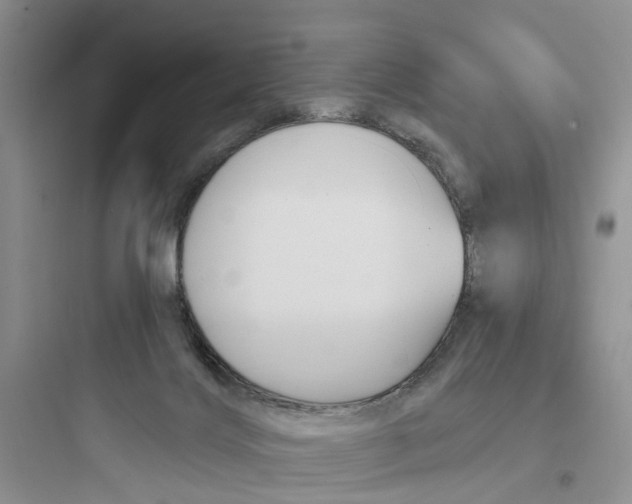 X0000097650028200803211906