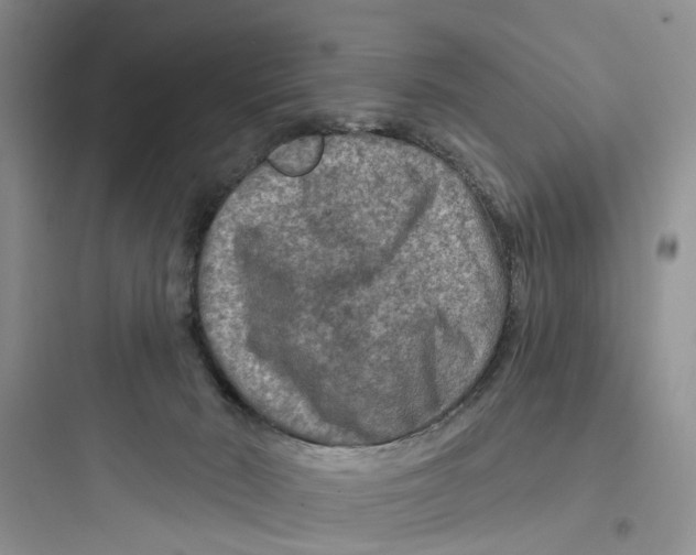 X0000097650030200803211906