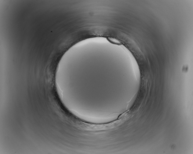 X0000097650031200803211906