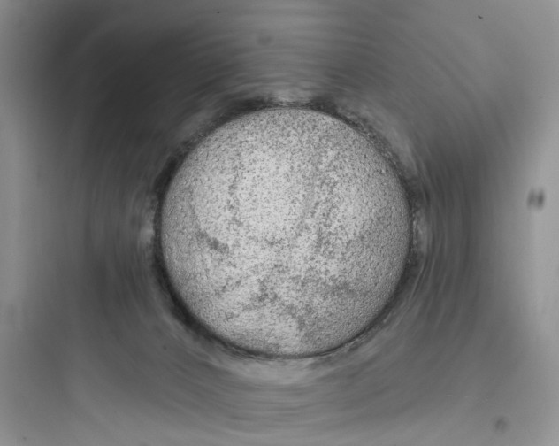 X0000097650032200803211906