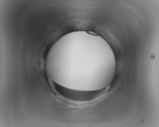 X0000097650033200803211906