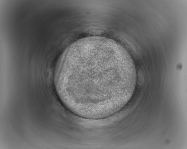 X0000097650034200803211906