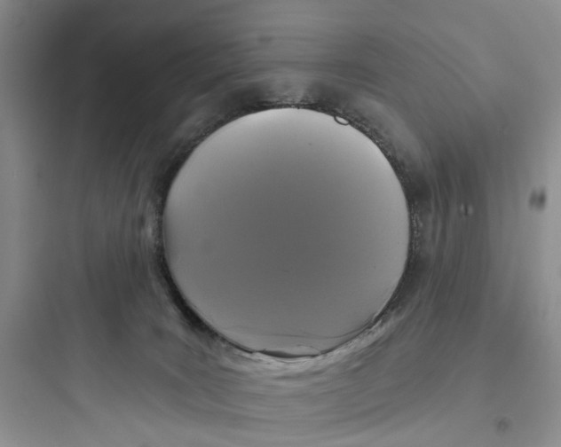 X0000097650035200803211906