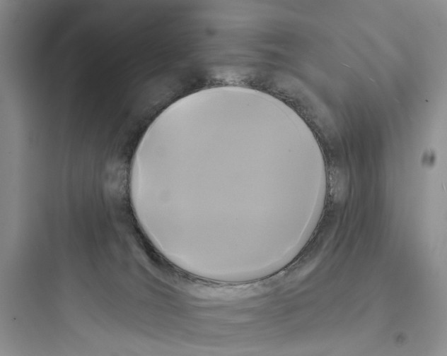 X0000097650036200803211906