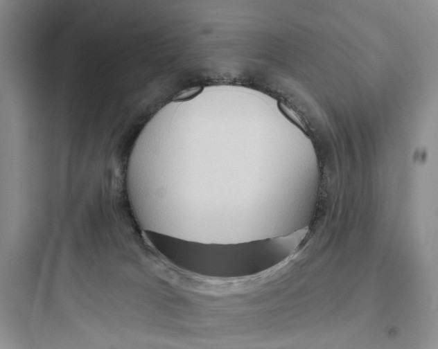 X0000097650037200803211906