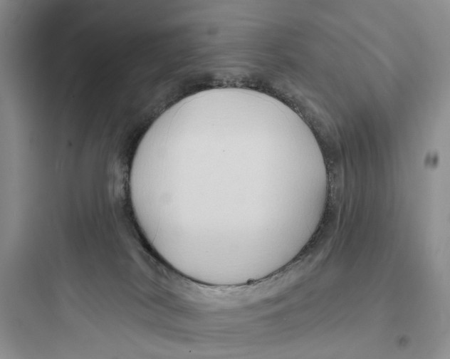 X0000097650038200803211906