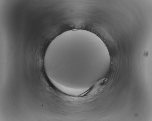 X0000097650039200803211906