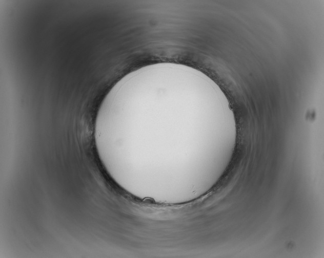 X0000097650040200803211906