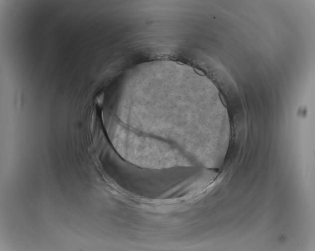 X0000097650041200803211906