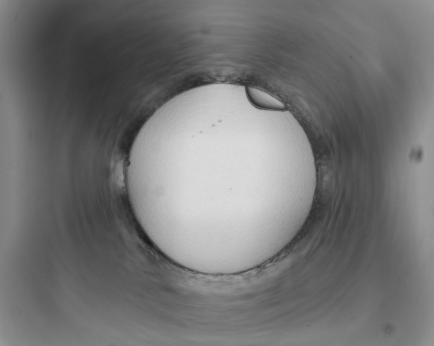 X0000097650042200803211906