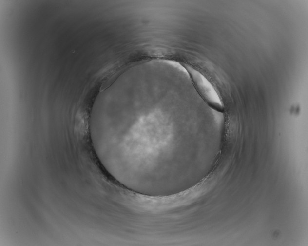 X0000097650043200803211906