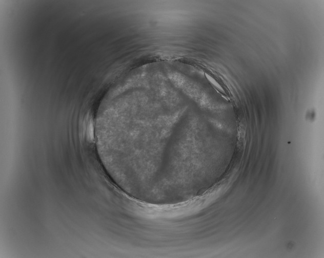 X0000097650046200803211906