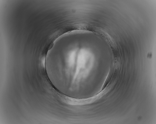 X0000097650047200803211906