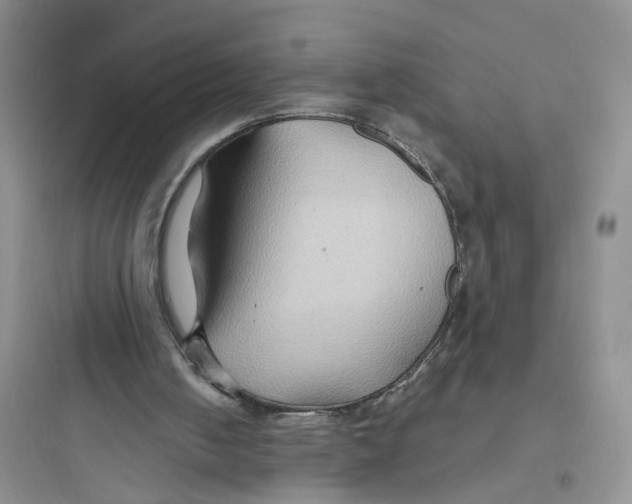 X0000097650050200803211905