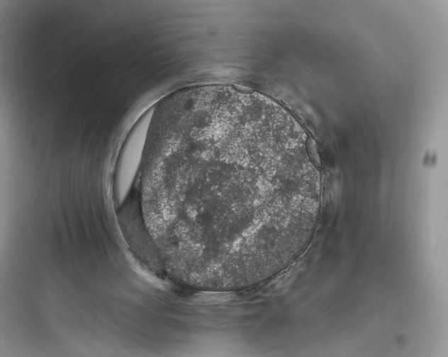 X0000097650051200803211905