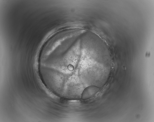 X0000097650053200803211905