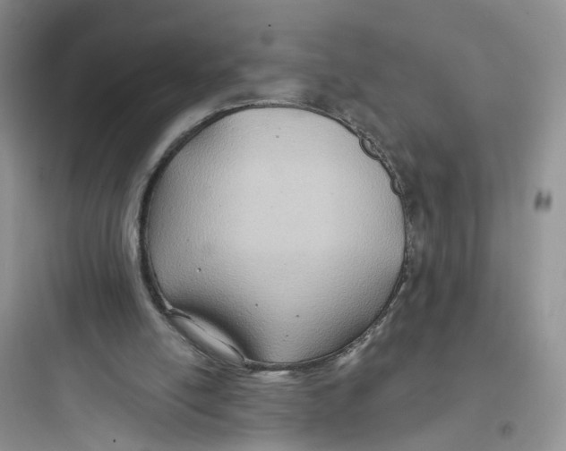 X0000097650054200803211905