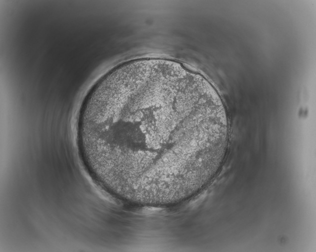 X0000097650055200803211905