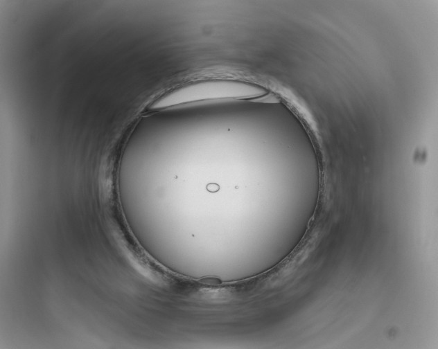 X0000097650057200803211906