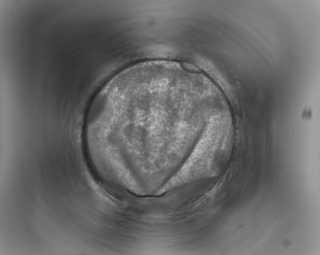 X0000097650058200803211906