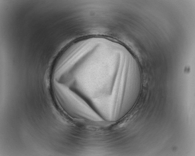 X0000097650060200803211906