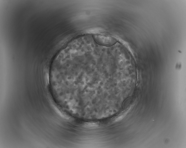 X0000097650061200803211906