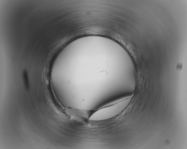 X0000097650062200803211906