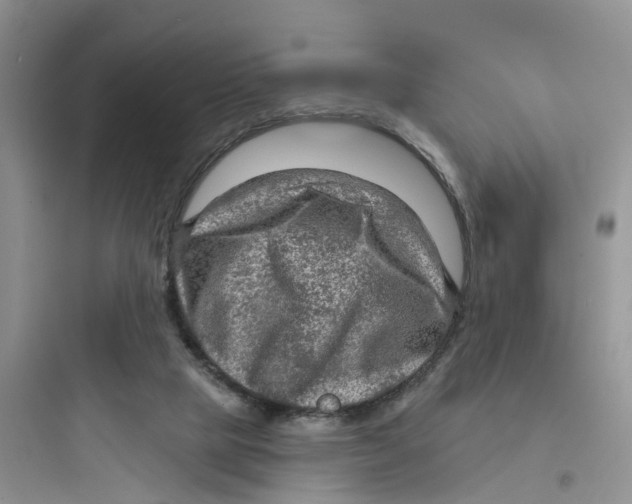 X0000097650065200803211906