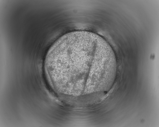 X0000097650066200803211906