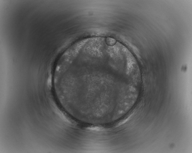 X0000097650067200803211906