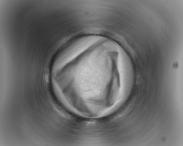 X0000097650068200803211906