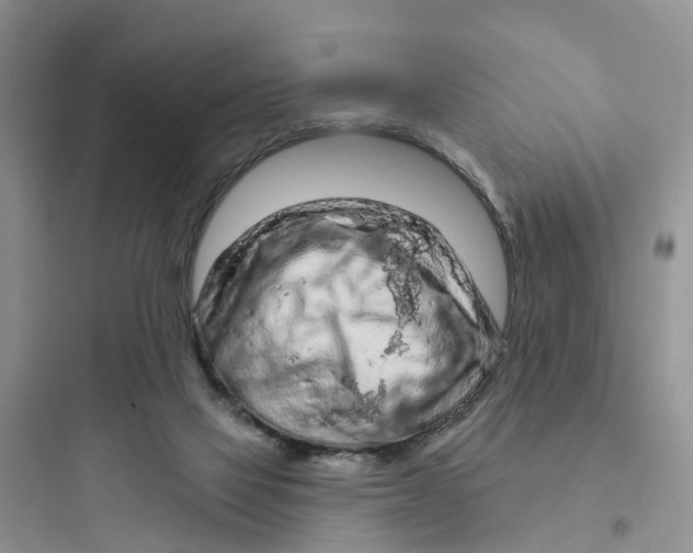 X0000097650069200803211906