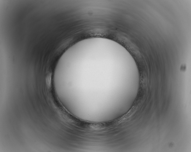 X0000097650070200803211906