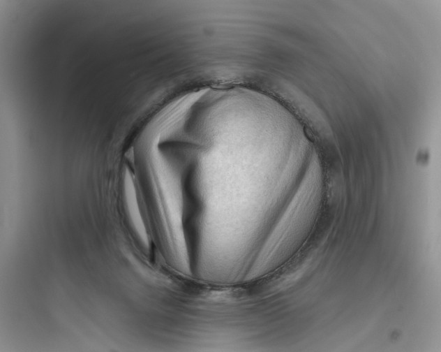 X0000097650072200803211906