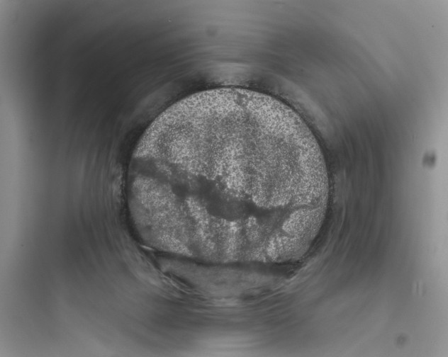 X0000097650073200803211906