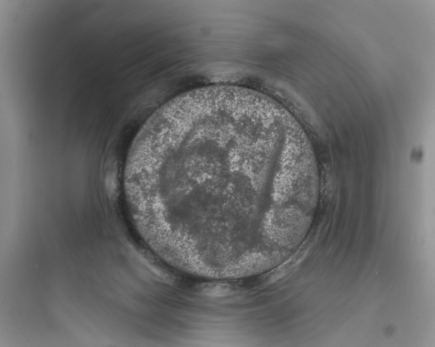 X0000097650074200803211906